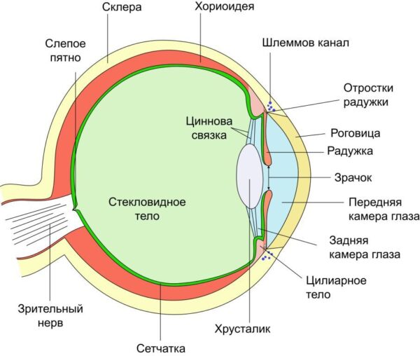 НСП Перфект Айз (3) - Артикул: 60024