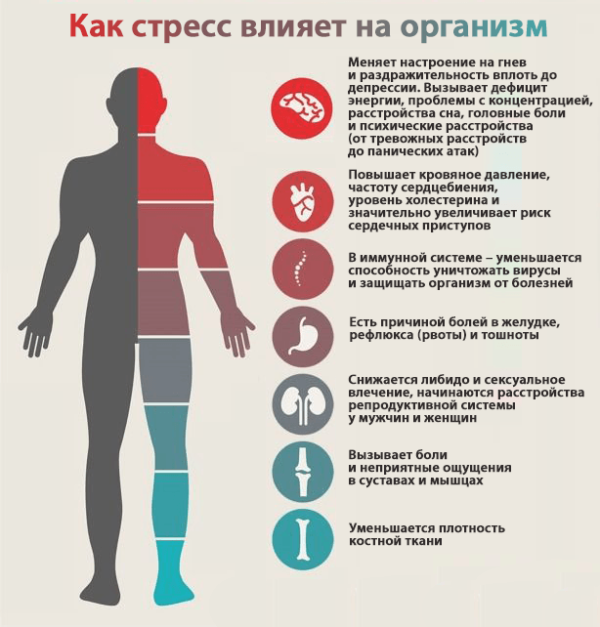 Программа НСП Антистресс (2) - Артикул: 64210