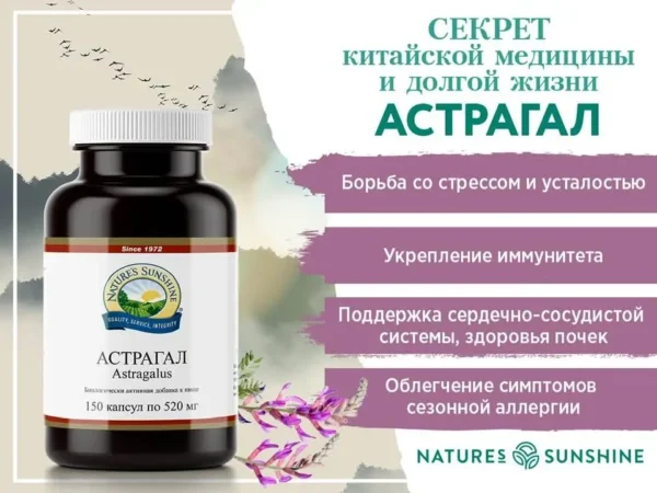 НСП Астрагал (3) - Артикул: 22751