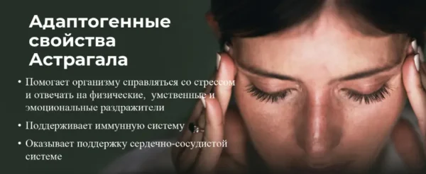 НСП Астрагал (4) - Артикул: 22751