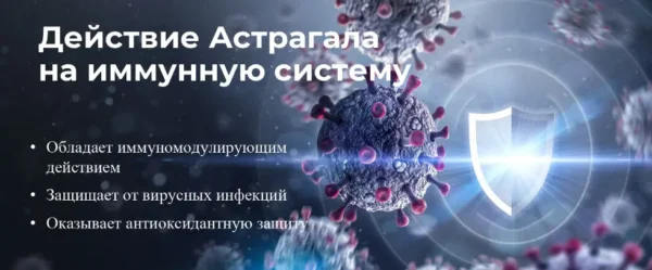 НСП Астрагал (7) - Артикул: 22751